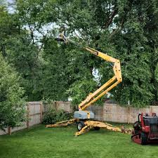 Best Tree and Shrub Care  in Morgantown, PA