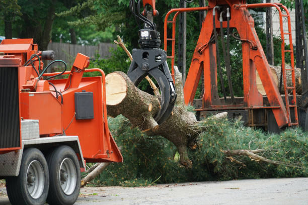 Best Lawn Grading and Leveling  in Morgantown, PA